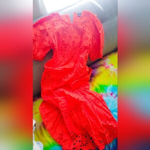 Elegant Anne Taylor Eyelet Dress